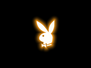 Genius profile picture for @Rabbit